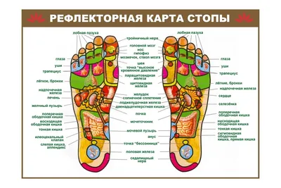 Техники рефлекторного массажа