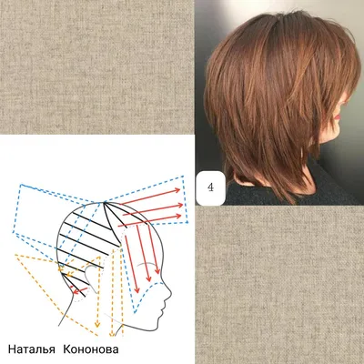 Лисий хвост» — стрижка треугольник сзади: все тонкости и техника выполнения  | V cut hair, Front hair styles, Haircuts for long hair