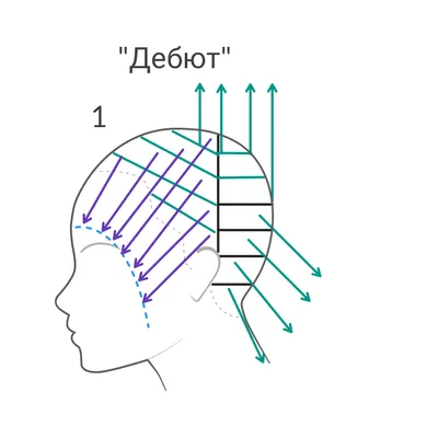 Стрижка "Дебют". Техника выполнения на тонких и редких волосах. | Наталья  Кононова | Дзен