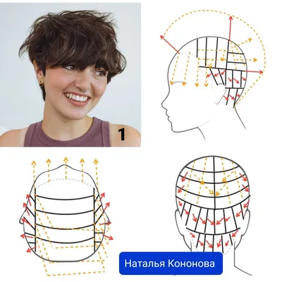 Стрижка "Рапсодия" идеальна для тонких волос, когда "лесенки и каскады"  надоели | Наталья Кононова | Дзен