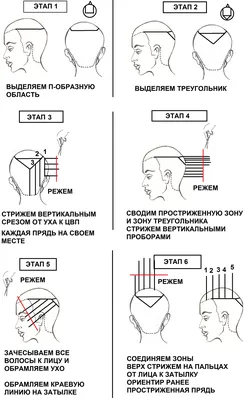 ТЕМА УРОКА: Технология стрижек «Гарсон», «Астра», «Боб-Кристи | Бороды и  волосы, Идеи причесок, Советы по стрижке