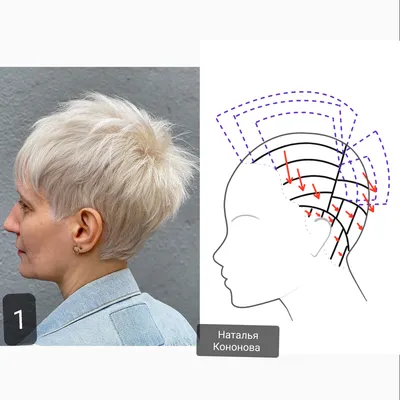 Лисий хвост: все, что нужно знать о стрижке, техника выполнения и примеры  для вашего вдохновения | Mixnews
