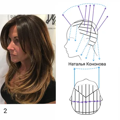 Подборка освежающих женских стрижек в схемах. Часть 16 | Методы окрашивания  волос, Прически для густых волос, Волосы маллет