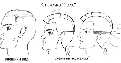 Женские стрижки для красивого профиля, в схемах. Часть 27 | Наталья  Кононова | Дзен