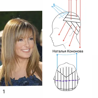 Занятие № 38. Мое первое каре. Схема стрижки.