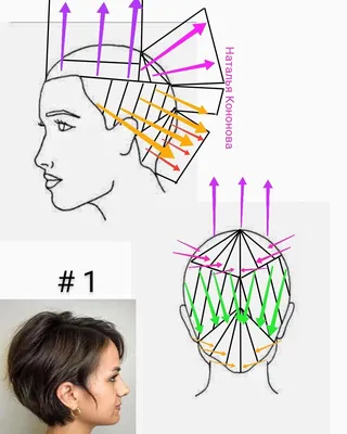 Стрижки "Шапочка" с фото и схемами. Часть 7 | Стрижка, Убранные длинные  волосы, Прически для густых волос