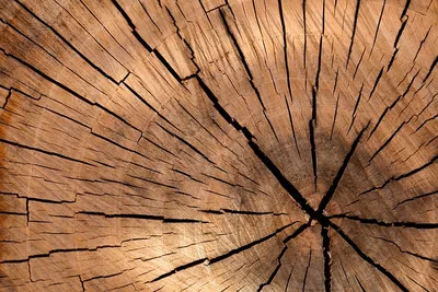 текстура древесины PNG рисунок, картинки и пнг прозрачный для бесплатной  загрузки | Pngtree