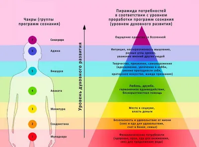 Энциклопедия в дополненной реальности 4D Анатомия Тело человека - купить по  выгодной цене | Интернет-магазин игрушек "Развивашка"