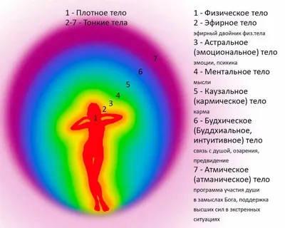 Анатомия тела человека в стиле …» — создано в Шедевруме