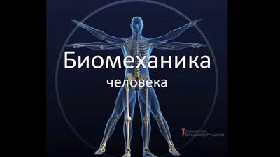 Тело человека. Детская энциклопедия – купить по лучшей цене на сайте  издательства Росмэн