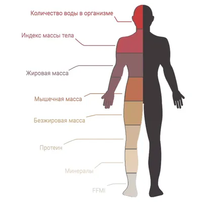 МРТ всего тела - «Томография на Семашко»