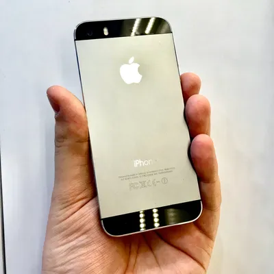 Дизайнер нарисовал 3 варианта корпуса iPhone 5 SE