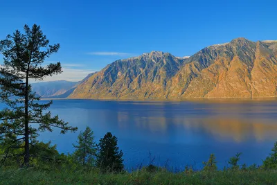 Телецкое озеро на Алтае - фото, где находится на карте, цена экскурсий.  Почему не замерзает Телецкое озеро зимой.