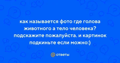 Топ 5 мифических созданий придуманных людьми | RISE | Дзен