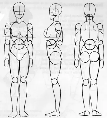 Тело Человека Для Срисовки (64 Фото)