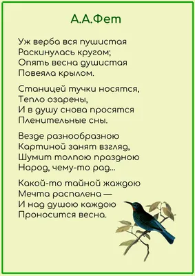 весна в садукрасочная яркая тема май фон парк Фото И картинка для  бесплатной загрузки - Pngtree