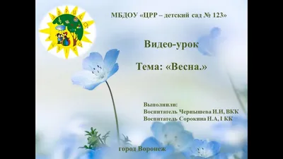 Тематическая неделя Весенние цветы. День 3 Тюльпан. | РадаРадуга - Радуга  Идей