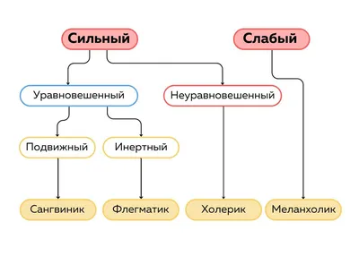 Как темперамент человека влияет на занятия музыкой? | Музклассы.рф | Дзен