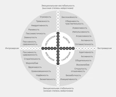 Самый редкий и самый распространенный темперамент | Особенности и статистика