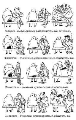 Что такое темперамент? Кто такие меланхолик, холерик, сангвиник и  флегматик? | Поговорим? | Дзен