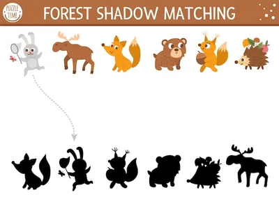 Игра тени соответствуя Тема животных Иллюстрация вектора - иллюстрации  насчитывающей разрешение, малыши: 77011616