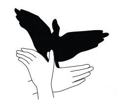 Иллюстрация 14 из 19 для Тени животных своими руками | Лабиринт - книги.  Источник: Margo7X