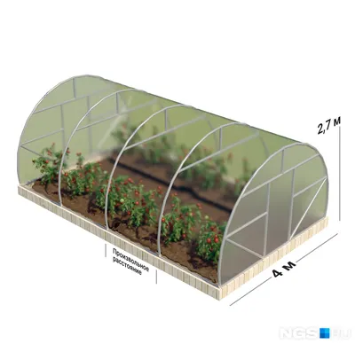 Теплица из поликарбоната своими руками