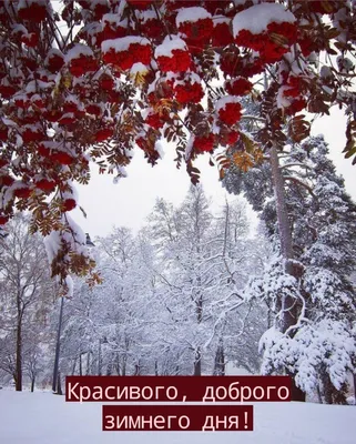 Добрые пожелания хорошего, зимнего дня / Музыкальная открытка - YouTube