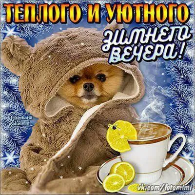 Теплый зимний вечер | Пикабу