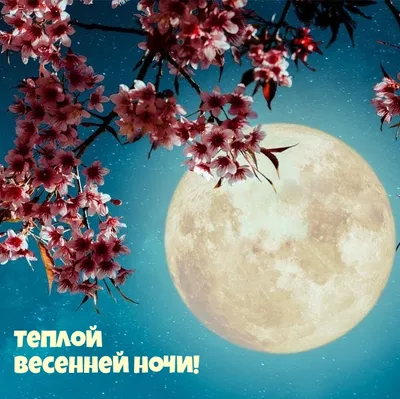 Картинка: Теплой весенней ночи!