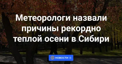 Метеорологи назвали причины рекордно теплой осени в Сибири - Новости 