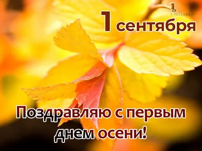 Прощаемся с теплой осенью? Подробный прогноз погоды на неделю с 17 по 23  октября