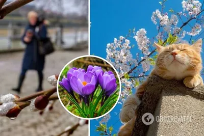 Весна - все в ожидании чуда и тепла!!! ☀Друзья, с первым днём весны! 🍃🌷🌱  Добра, тепла и улыбок вам! 😊 Спасибо, что вы.. | ВКонтакте