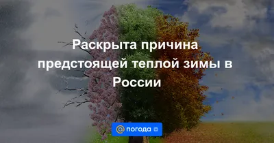 Последствия теплой зимы: в Украине зафиксировали редкое природное явление -  Новости Луцка сегодня - 24 Канал