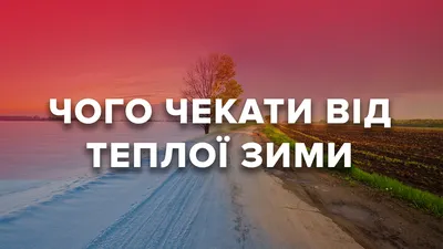 Аномальная погода в Украине: причины и последствия самой теплой зимы  десятилетия - Срочные новости - 24 Канал