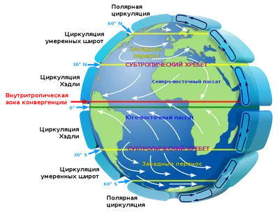 Циркуляция атмосферы — Википедия