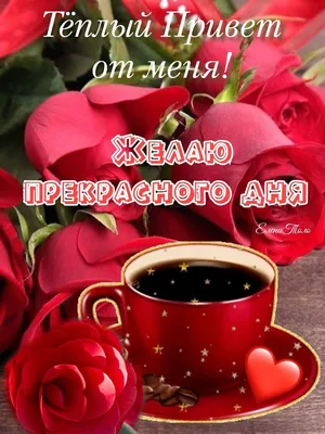 Тёплый Привет от меня! ❤️☕🌹💖 in 2023 | Glassware, Mugs,  Tableware