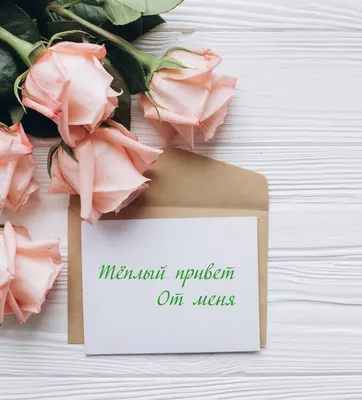 Тёплый привет друзьям... ☕❤️🌹 | Меню, Ели