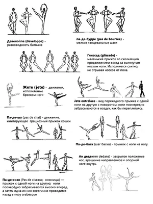 Балетный словарь. Зачем нужно знать балетные термины и что на самом деле  значит уметь делать плие |  | Дзен
