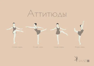 Инфографика, балетный минимум: fotovivo — LiveJournal