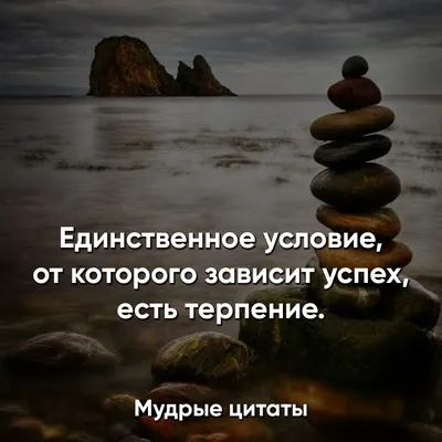 Обои "Терпение" на рабочий стол, скачать бесплатно лучшие картинки Терпение  на заставку ПК (компьютера) | 