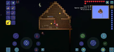 Terraria купили 35 млн раз / Skillbox Media