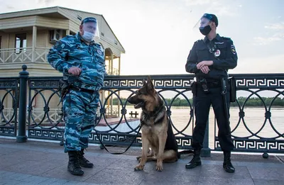 ФСБ сообщила о задержании трех десятков террористов — РБК