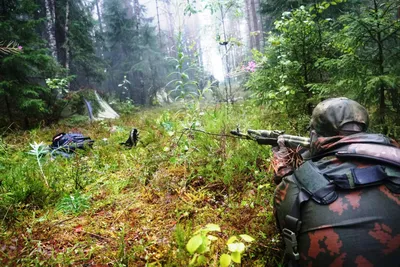 На Донбассе ликвидирована группа террористов РФ. Фото. Новости  :.