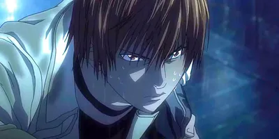 Light Yagami and L (Death Note)