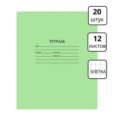 Тетрадь 48 л.*2 в папке на резинке ЭРИХ КРАУЗЕ Синяя (48021) – купить за  330 ₽ | Циркуль