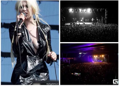 The Pretty Reckless - фото, история создания, состав, новости, песни 2024 -  24СМИ