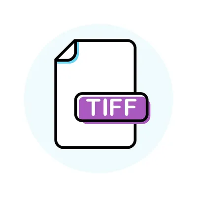 TIFF image file – A guide to the unique file type | Canto