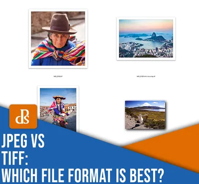 JPEG vs TIFF: Which File Format Is Best?