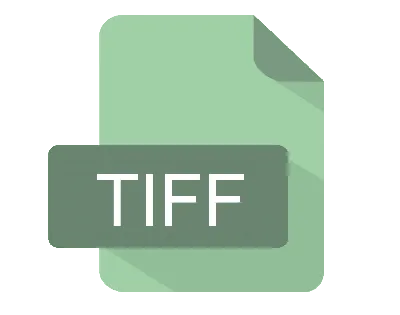 TIFF image file – A guide to the unique file type | Canto